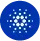 RozaXfin - Embark on Your Adventure with RozaXfin Today